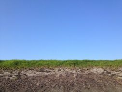 Landscape of the green grass on the horizon