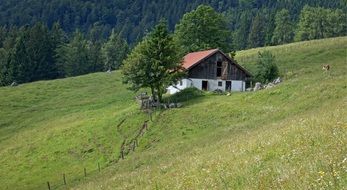 countryside lug green field Landscape Nature Bavaria