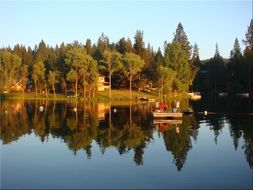 mirror image of trees in a lake water