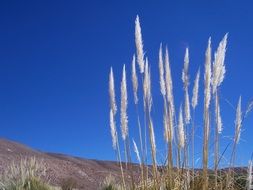 incredible beauty San Pedro