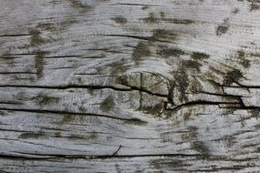 Brown wood
