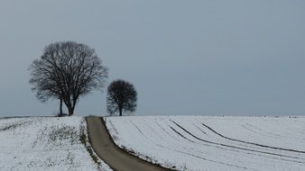 road in snowy field