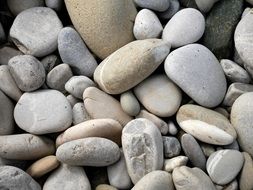 Close-up of the colorful stones on the soil