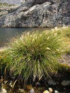 scenic rocks at Lircay river, Chile