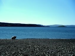 stone beach by the ocean in summer