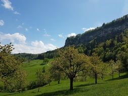 green hillside in Basel-Land