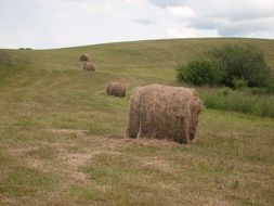 round haystacks in the meadow