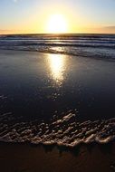 summer over the north sea coast