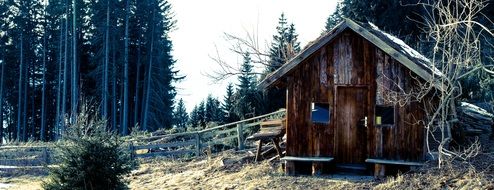 Hut in the forest