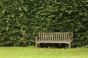 outdoor bench in summer