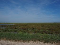 scenic nature park camargue