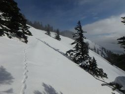 scenery of the snowy alps