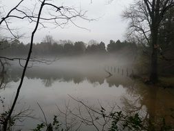 Beautiful lake among the trees on a gloomy autumn day
