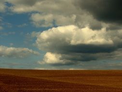 cloudly sky over the orange field