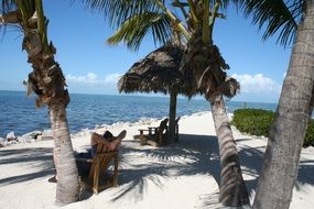 sand beach in Florida