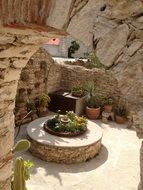 cactus stone garden nature
