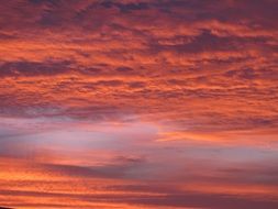 romantic sunset and pink clouds