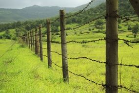 Fence on a green grassed field