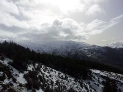 splendiferous Snow Nature