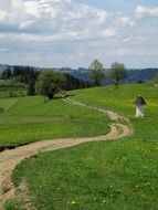 dirt road through a green meadow in the Tatras