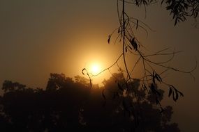 bright rising sun in a foggy haze