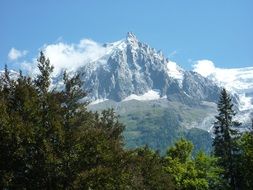 alpine mountains behind green trees