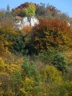 autumn colorful trees the founding fathers poland