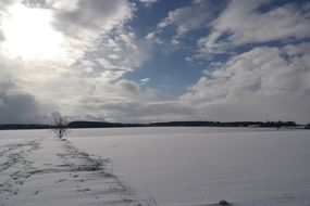 snowy landscape winter dream