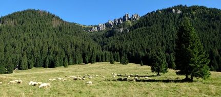 western Tatras view