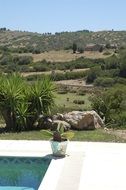 Pool Landscape