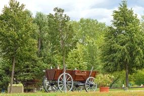 Cart Trees Landscape