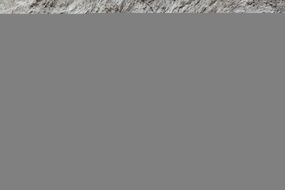 Mountain Goat Cliff Horn Goat N3