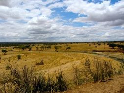 Colorful landscape with the field