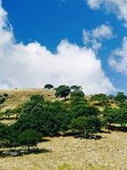 Sardinia Mountains Italy landscape