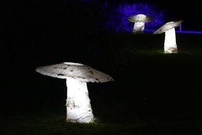 mushrooms like lanterns in the park at dark