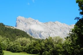 cliff behind green trees