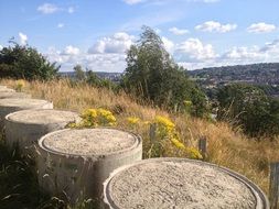 landscape of scenic nature in yorkshire