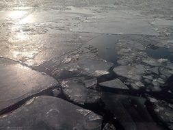 ice floes on water