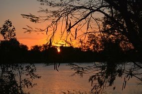 Sunset over lake trees outlines Landscape