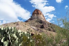 rock formations and green desert cacti in Arizona