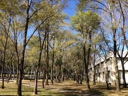 autumn park in front of the hotel