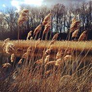 landscape of natural beauty field in spring