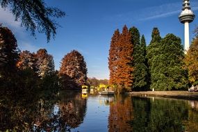 still autumn park
