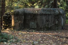 the strengthening of the bunker character