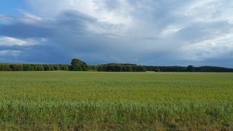 panoramic view of a green field in Germany