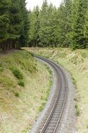 harzquerbahn among the green forest