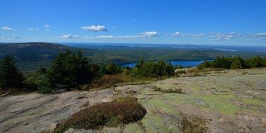 green bushes in the mountains in Maine