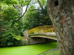 Bridge over the green water