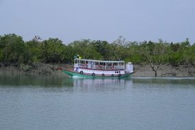 tourist Boat on River at Sundarbans Mangroves, india