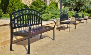 elegant benches for a holiday in the park